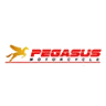 Pegasus