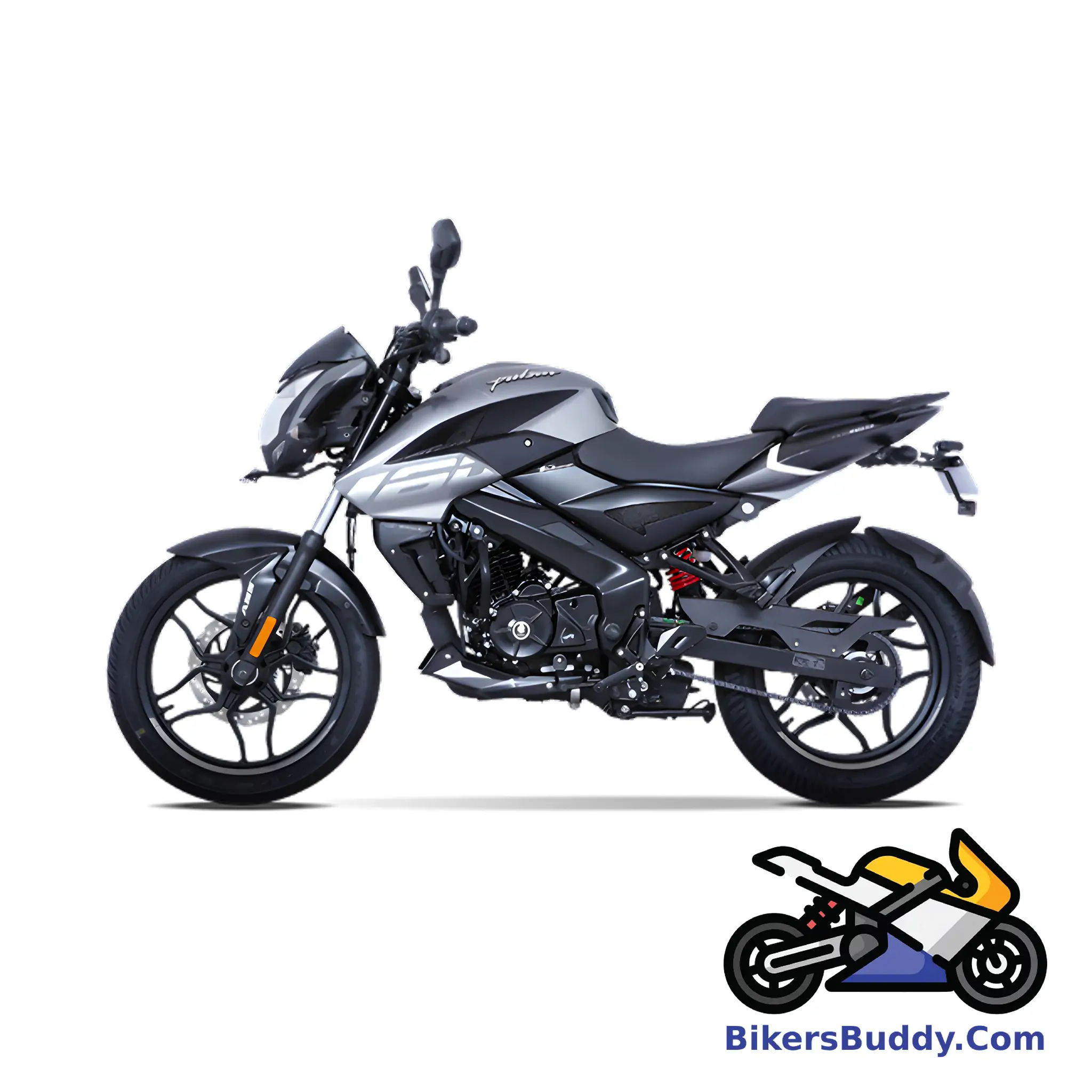 Grey Bajaj Pulsar NS 160 Twin Disc ABS