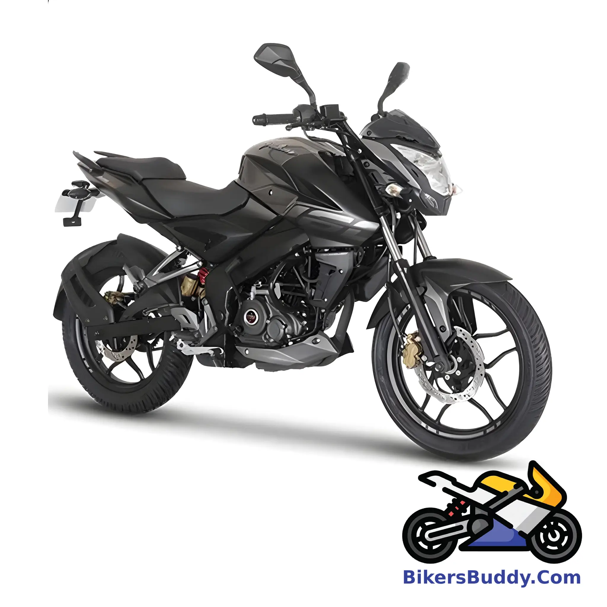 Grey Bajaj Pulsar NS 160 Double Disc