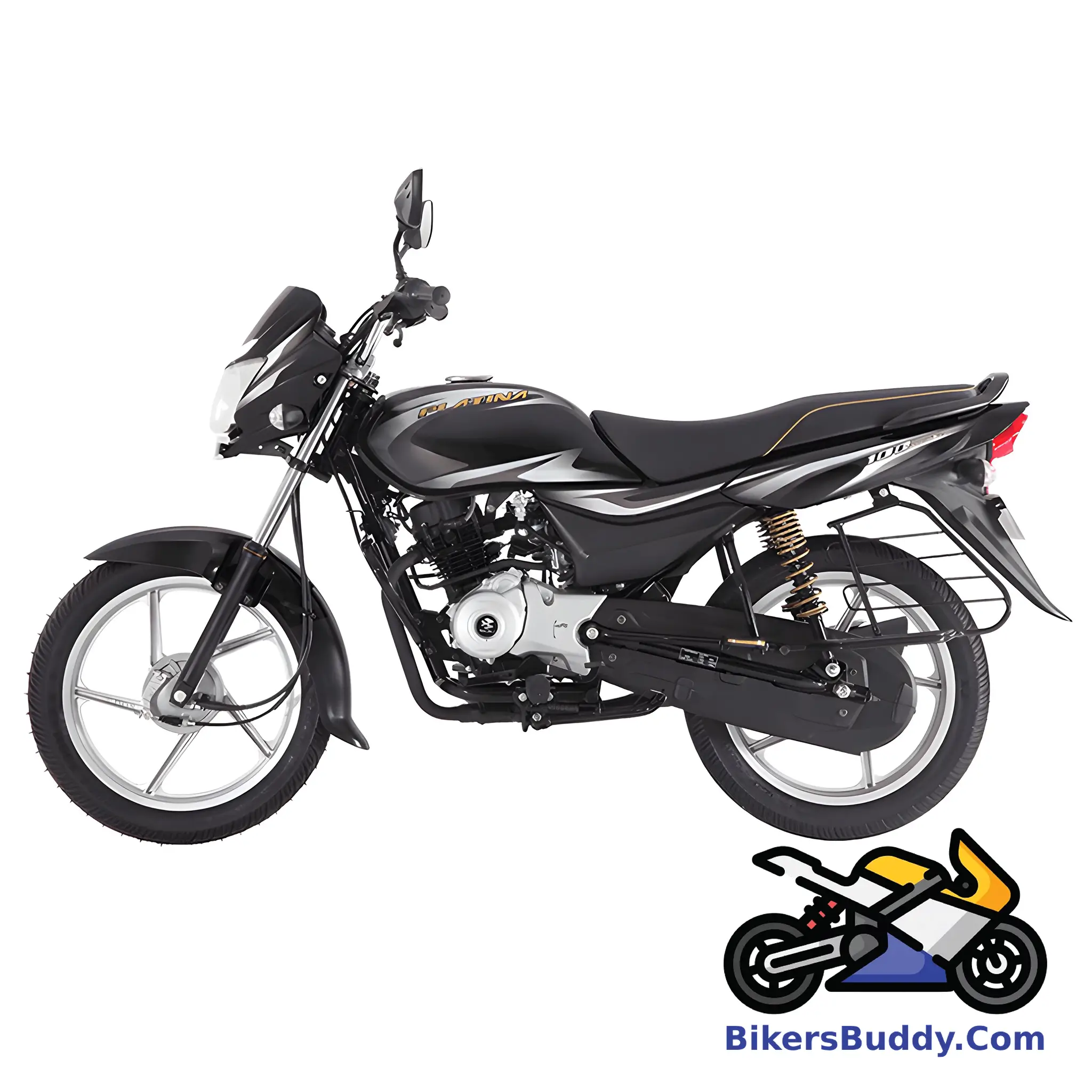 Grey Bajaj Platina ES