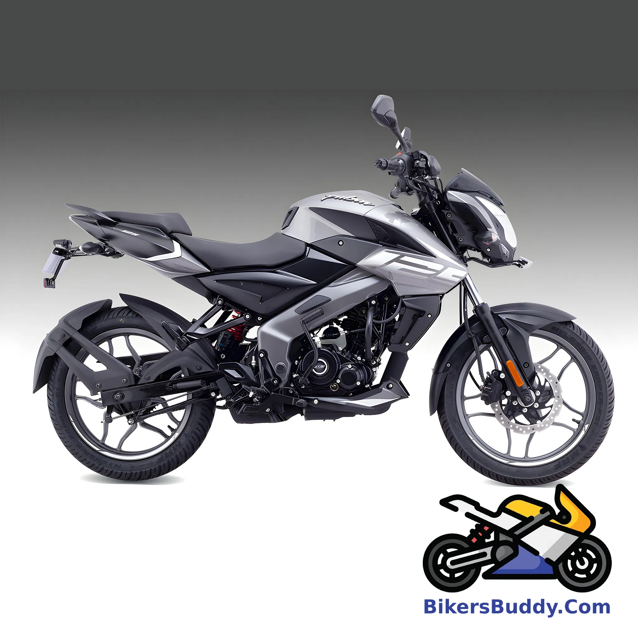 Grey Bajaj Pulsar NS 125